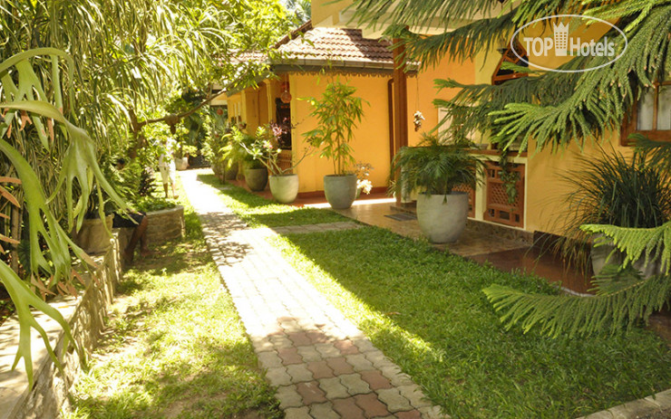 New photos from tourists Green Villa Unawatuna