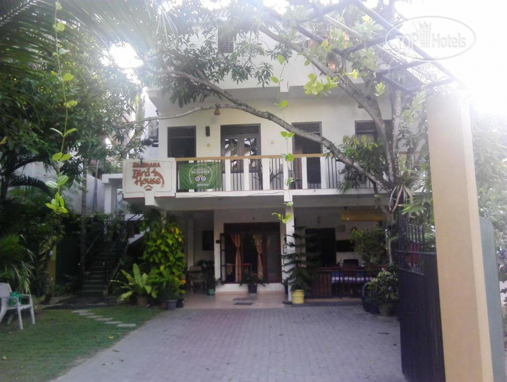 Hotelier's photos Birdhouse