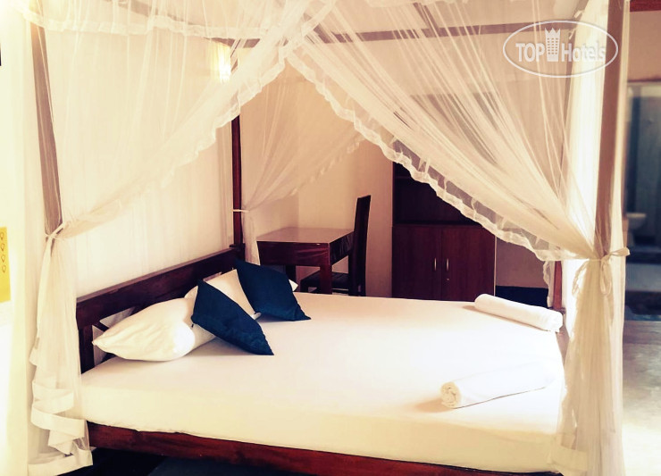 New photos from tourists Unawatuna Backpacker Lodge 1*