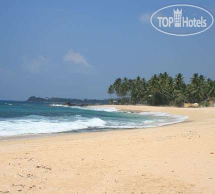 New photos from tourists Dalawella Beach Resort 3*