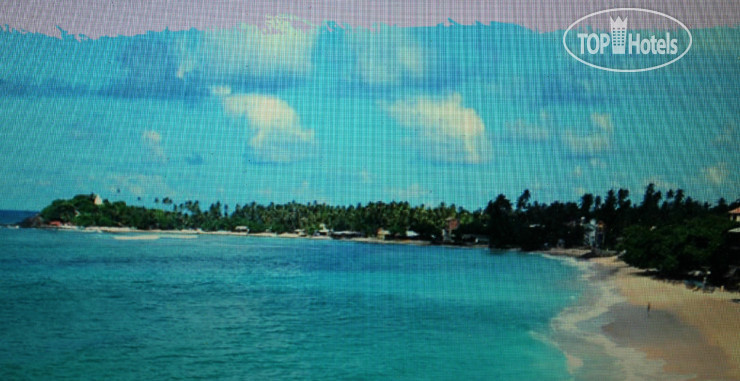 New photos from tourists Lavendish Beach 2*