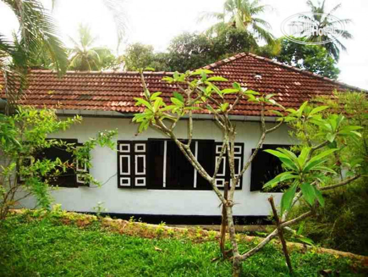 Фото Palm Villa