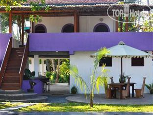Hotel photo Turtle Eco Beach 