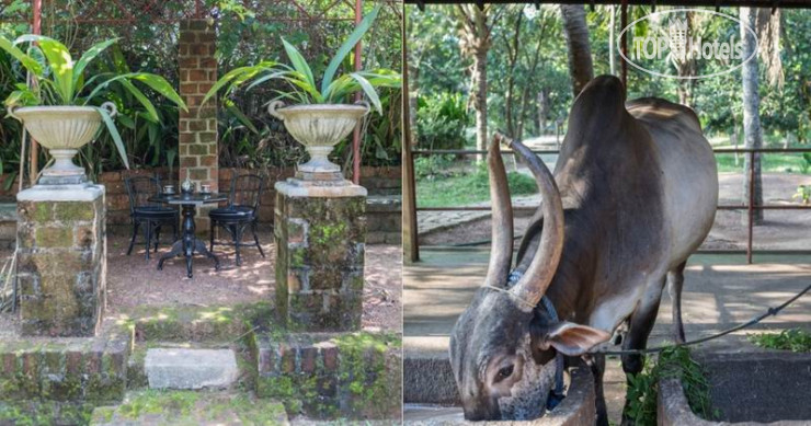 New photos from tourists Casa Heliconia