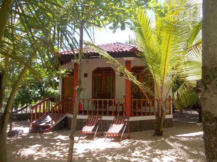 New photos from tourists Patini Bungalow