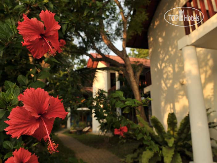 New photos from tourists Moonstone Villas 3*