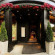 Фото Casa Chic Palermo Soho Hotel Boutique