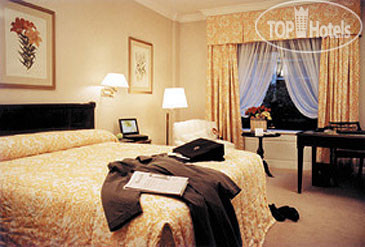 New photos from tourists Sofitel Buenos Aires Recoleta 5*