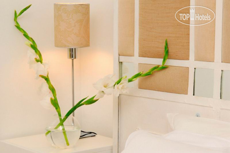 New photos from tourists Vain Boutique Hotel 4*
