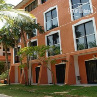 Photos Paradise Surf