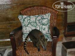 New photos from tourists Waku Lodge 3*
