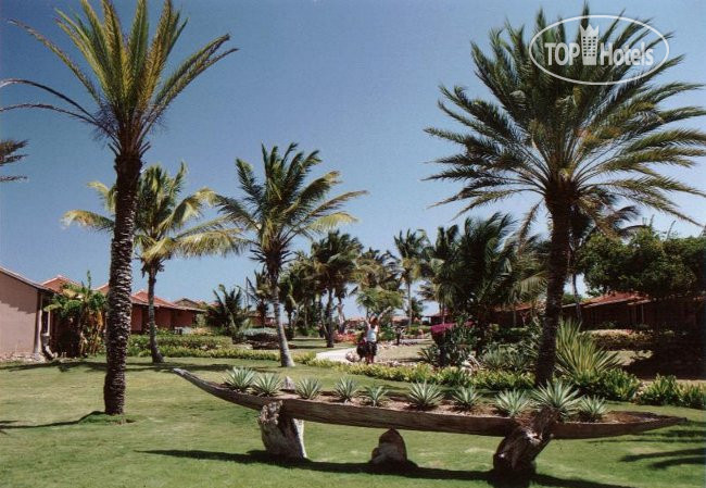 New photos from tourists Paradise Coche 4*