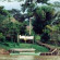 Фото Corto Maltes Amazonia Lodge