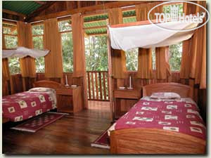 New photos from tourists Cock-of-the-Rock Lodge 3*