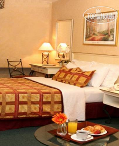 New photos from tourists Leon de Oro 3*