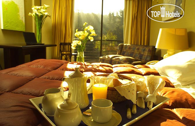 New photos from tourists Conference Town 4*