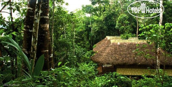 Hotel photo ARCOIRIS JUNGLE LODE HV-1
