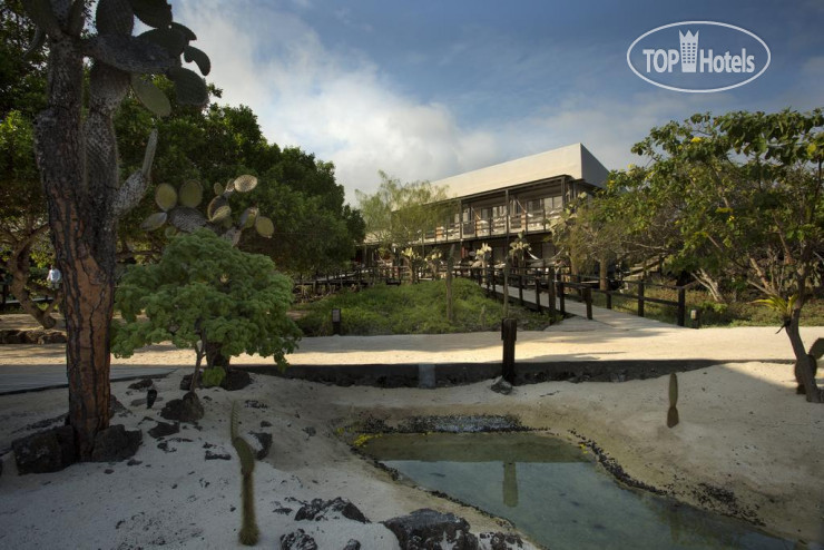 New photos from tourists Finch Bay 4*