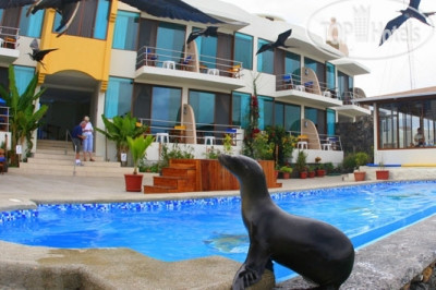 New photos from tourists SolyMar 4*