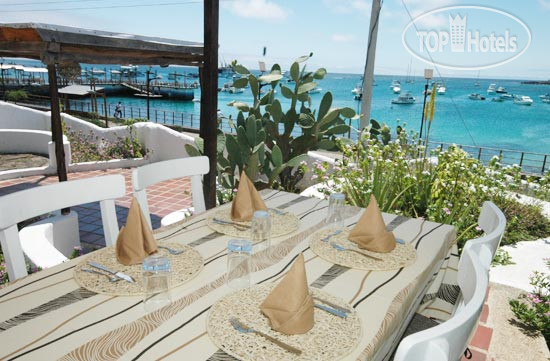 New photos from tourists Casa Opuntia 4*