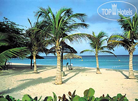 Hotelier's photos Amsterdam Manor Beach Resort 4*