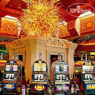 Фото The Coral at Atlantis