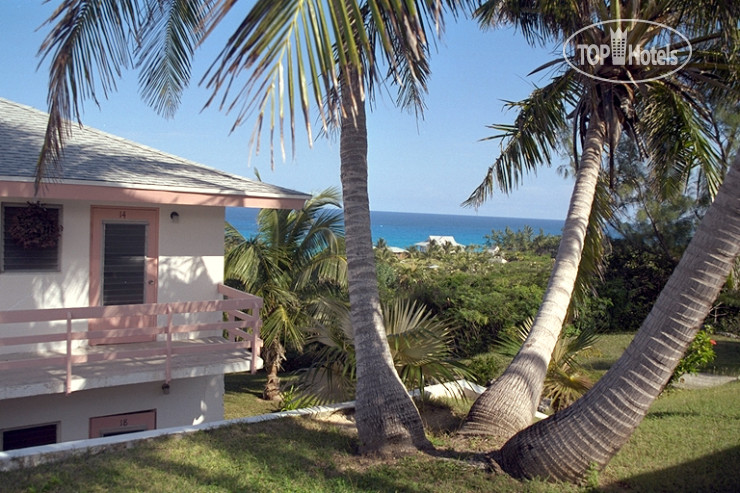 Новые добавленные фото туристов Stella Maris Resort Club 3*