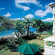 Фото Mahogany Bay