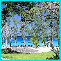 Фото Coral Reef Club