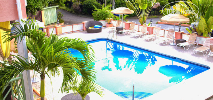 New photos from tourists Travellers Palm Resort 4*