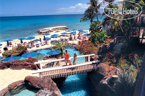 Hotel photo Crystal Cove 4*