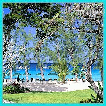 Hotel photo Coral Reef Club 5*