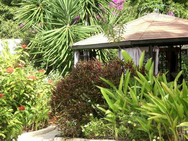 New photos from tourists Legend Garden Condos 3*