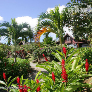Фото Le Jardin Malanga