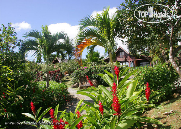 Photos Le Jardin Malanga