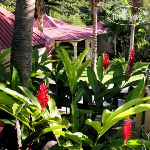 New photos from tourists Habitation Grande Anse 3*