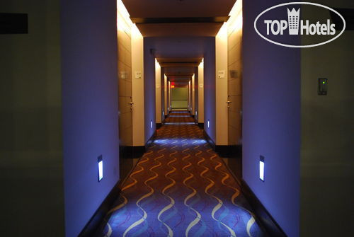Фото Holiday Inn Santo Domingo