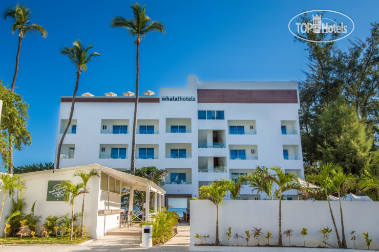 Hotel photo Whala Urban Punta Cana 4*