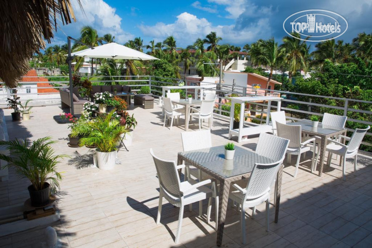 New photos from tourists Art Villa Dominicana