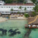 Be Live Hamaca Beach 4*