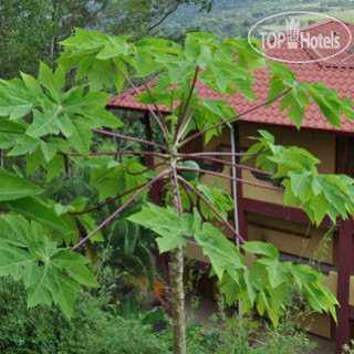 Photos Whales and Dolphins Eco Lodge