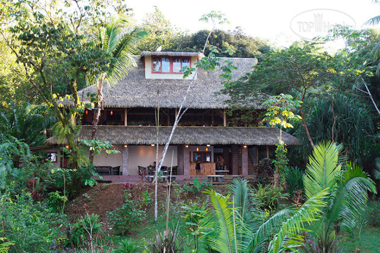 Hotelier's photos Copa de Arbol Beach and Rainforest Resort