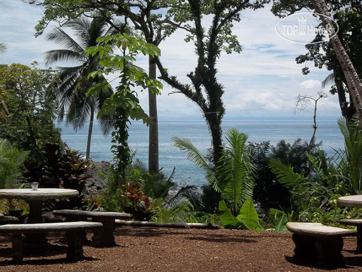 New photos from tourists Copa de Arbol Beach and Rainforest Resort