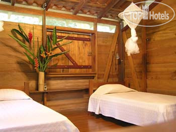 New photos from tourists Suital Lodge 3*