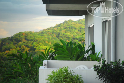 New photos from tourists Whales and Dolphins Eco Lodge 3*