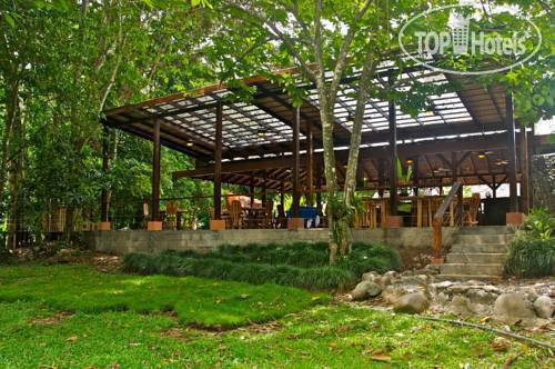 New photos from tourists La Foresta Nature Resort 3*