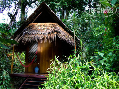 Hotelier's photos Shawandha 3*