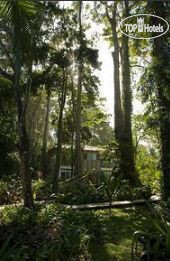 New photos from tourists Le Cameleon 4*