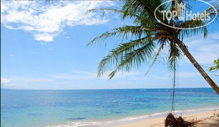 New photos from tourists Totem hotel Beach Resort 3*