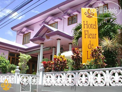 Фото Fleur de Lys